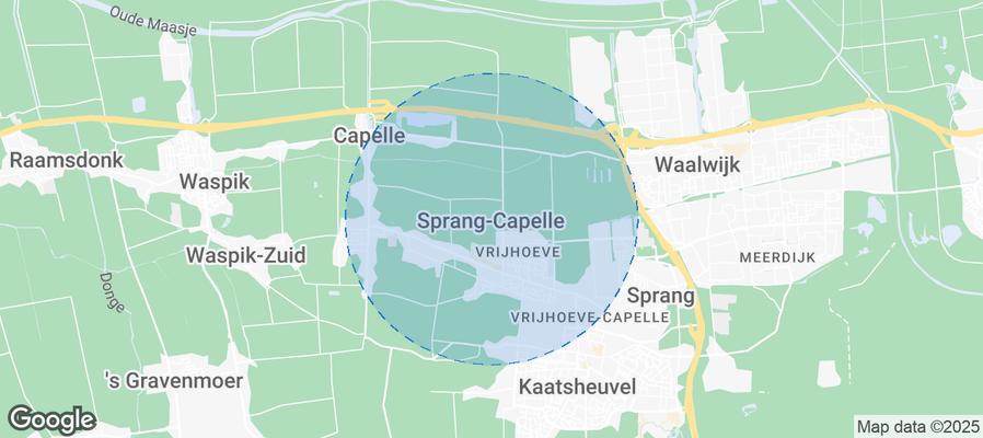 Discover Sprang-Capelle Airbnb Analytics